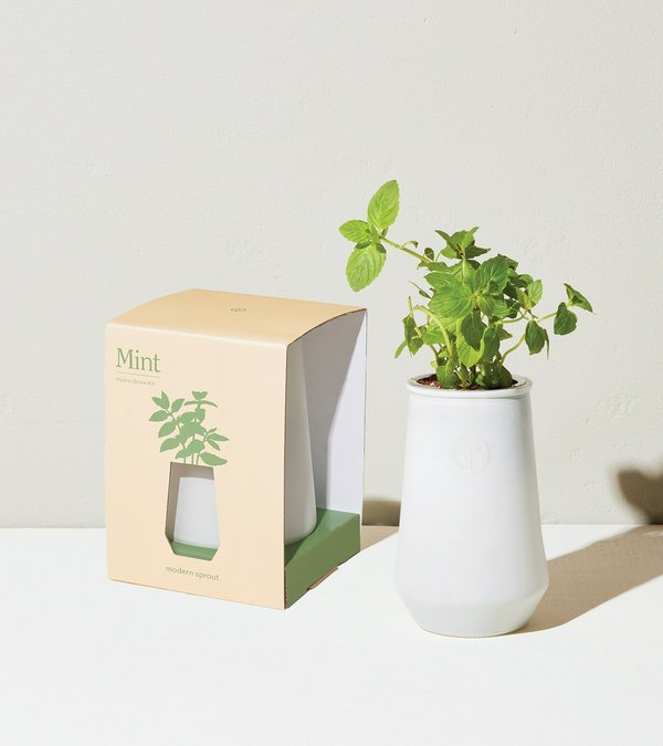 Tapered Tumbler - Mint